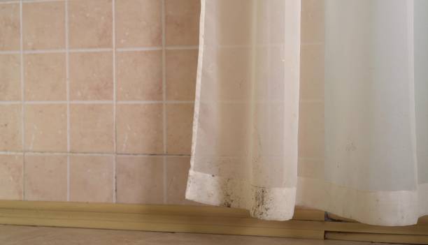 Mold Remediation for Vacation Homes in Beaverton, MI