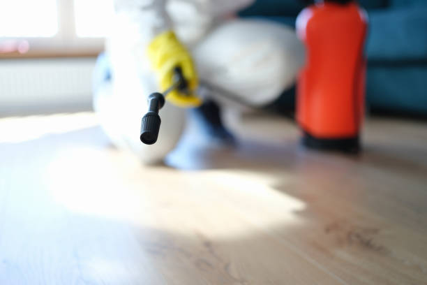 Best Forensic Mold Investigation  in Beaverton, MI