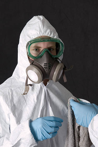 Best Water Damage & Mold Remediation  in Beaverton, MI